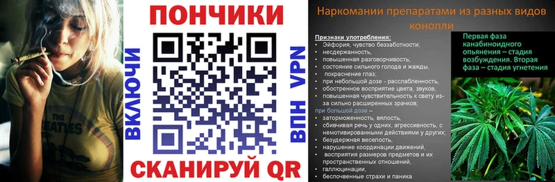 Бошки Шишки Amnesia  Макушино 